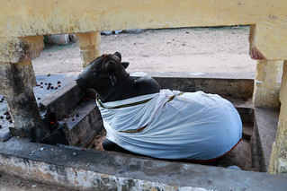 7a. Big Nandhi at the first entrance path
