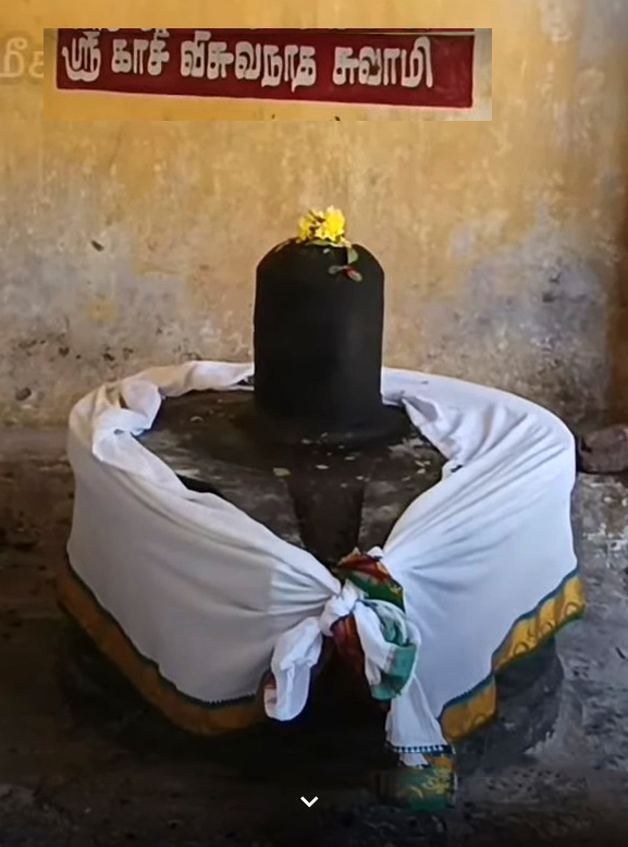 Sri Kasi Viswanathar