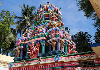 10.Sri Thayar shrine Vimanam