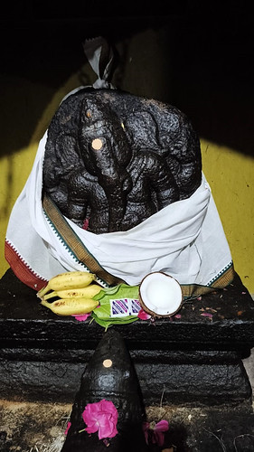 Sri Vedha Vinayagar/ Sri Sevi Saitha Vinayagar