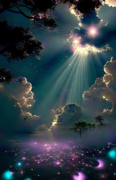 This contains an image of: 