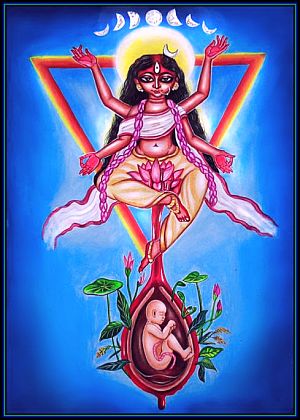 Who Was Dhirgatamas – Part Seven