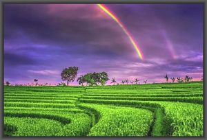 Who was Dhirgatamas …? – Part One