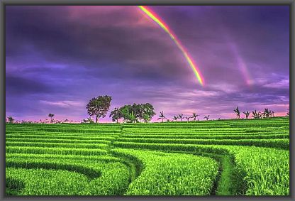 Who was Dhirgatamas …? – Part One