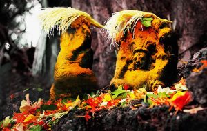 History-of-Nagaraja-Temple-in-Thrissur