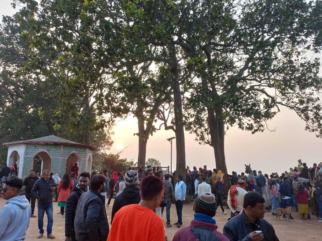 Magnolia sunset point